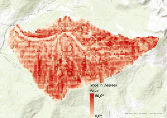 Image 13: 100x100m Resampled Slope Visualization.